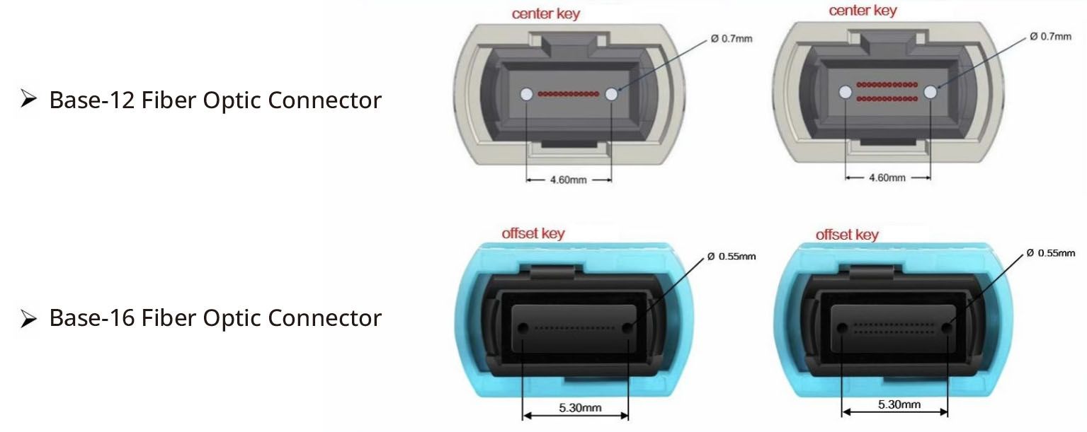 MPO-12 male connector into an MPO-16 female connector